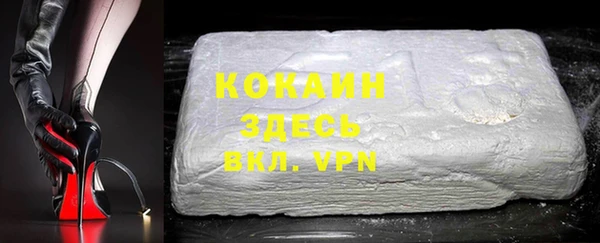 дурь Ельня