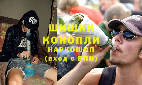 прущие грибы Елизово