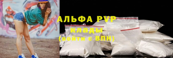дурь Ельня