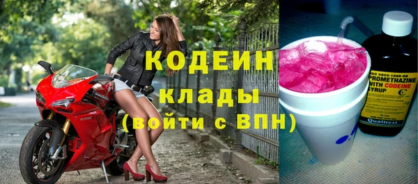 прущие грибы Елизово