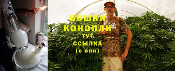 прущие грибы Елизово
