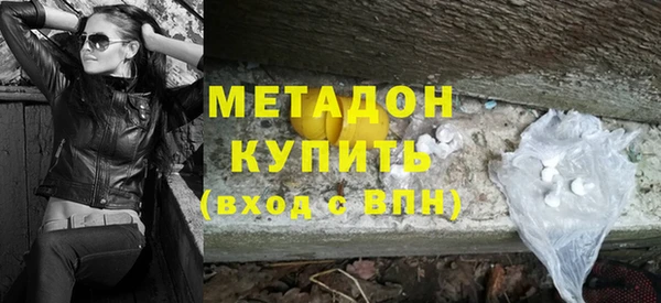 прущие грибы Елизово