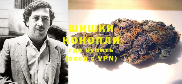 дурь Ельня