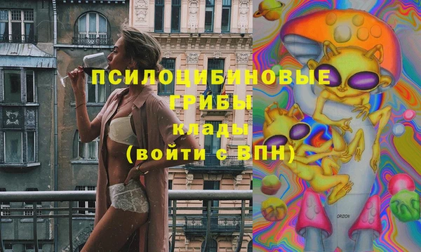 дурь Ельня