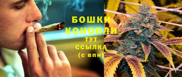 прущая мука Елабуга