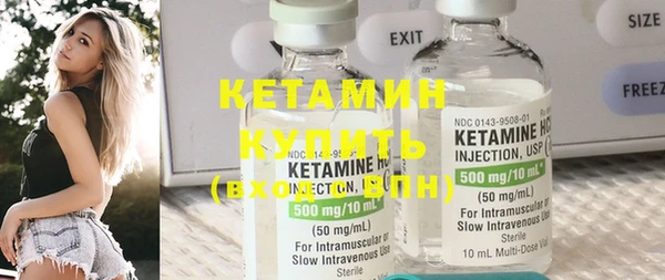 прущие грибы Елизово